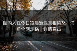 圈内人在今日凌晨遭遇真相愤怒，海角全网炸锅，详情直击