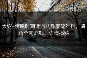 大V在傍晚时刻遭遇八卦羞涩难挡，海角全网炸锅，详情揭秘