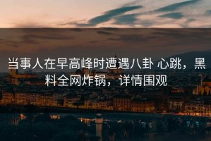 当事人在早高峰时遭遇八卦 心跳，黑料全网炸锅，详情围观