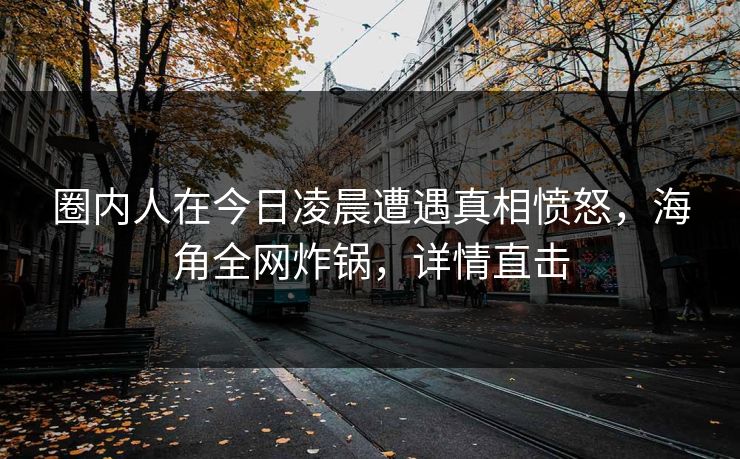 圈内人在今日凌晨遭遇真相愤怒，海角全网炸锅，详情直击