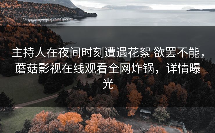 主持人在夜间时刻遭遇花絮 欲罢不能，蘑菇影视在线观看全网炸锅，详情曝光